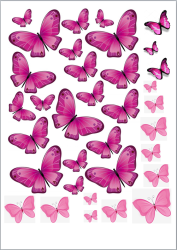 Изображение Бабочки розовые